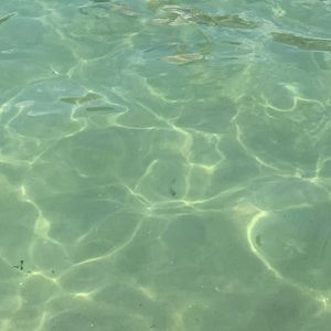 Meet your Posher, Fabiola